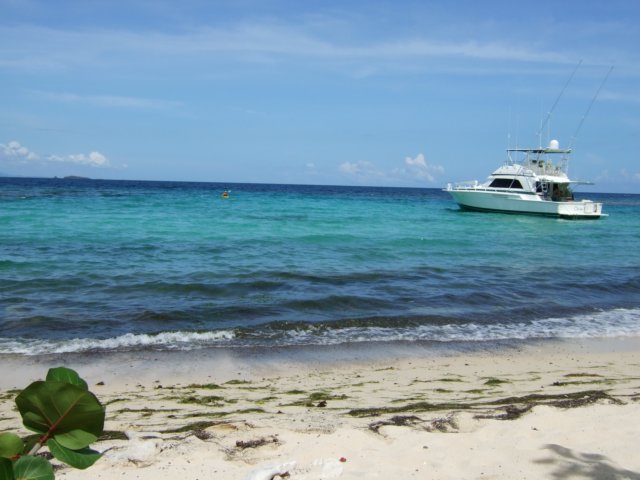 dscf2990.jpg