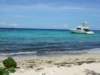 dscf2990_small.jpg