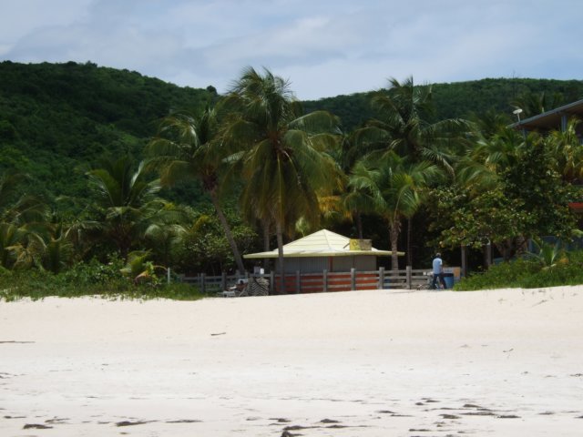 dscf2994.jpg
