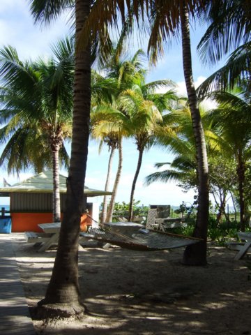dscf2998.jpg