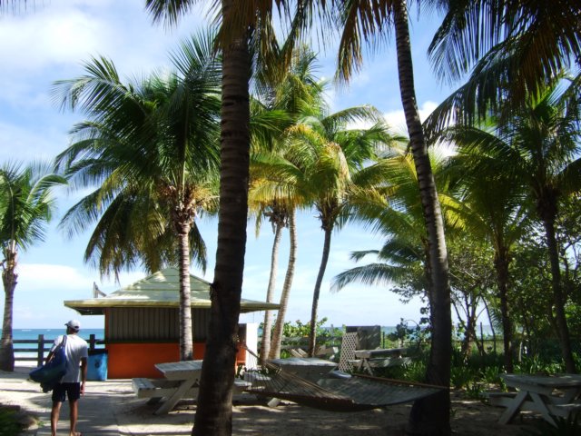 dscf2999.jpg