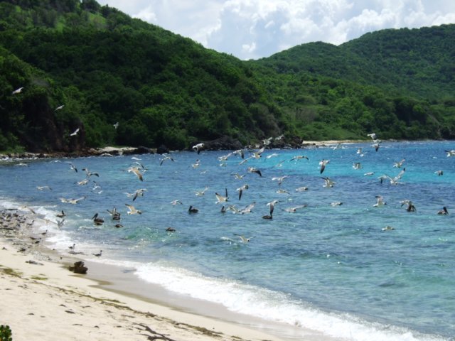 dscf3007.jpg