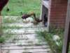 dscf3025_small.jpg