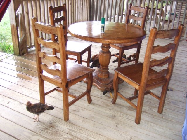 dscf3027.jpg