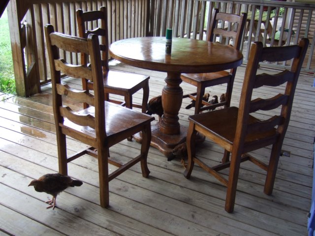 dscf3028.jpg