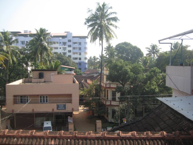 img_1403.jpg
