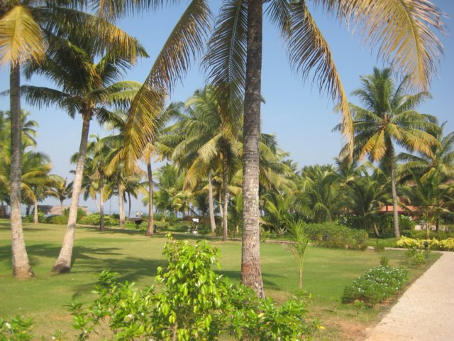 img_1451.jpg