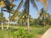 img_1451_small.jpg