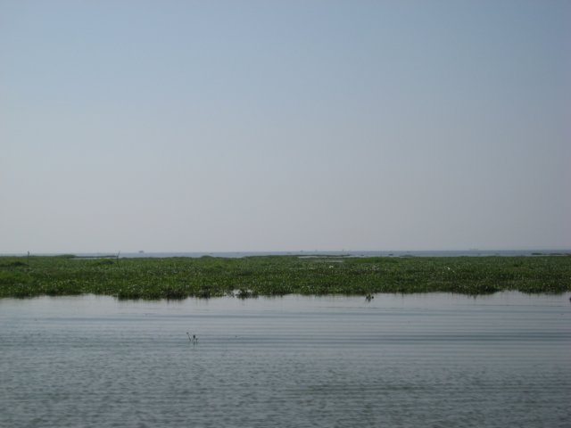 img_1483.jpg
