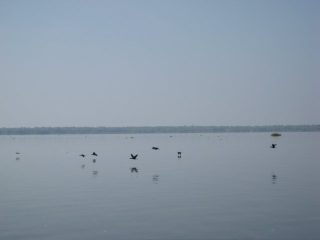 img_1490.jpg