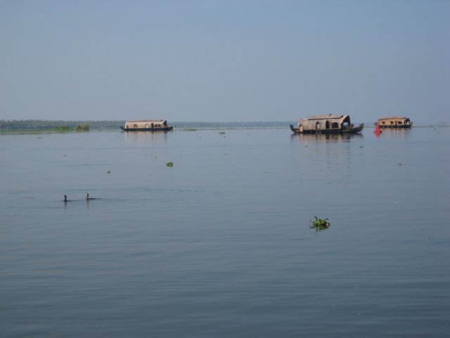 img_1510.jpg