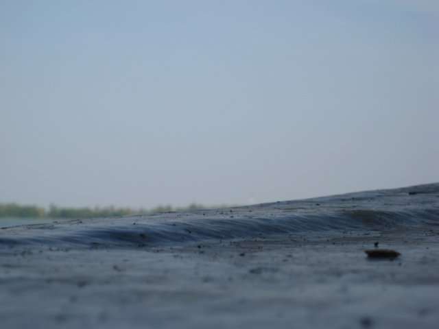 img_1515.jpg