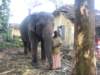 img_1770_small.jpg