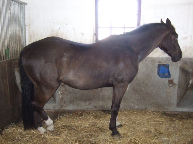 dscf3291.jpg