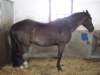 dscf3291_small.jpg