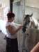dscf3292_small.jpg