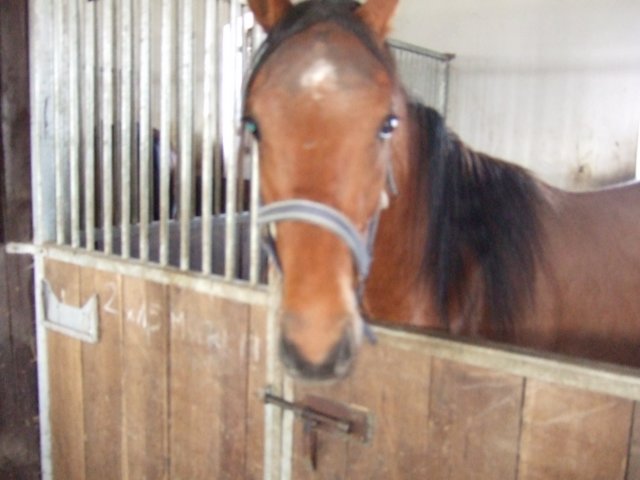 dscf3294.jpg