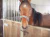 dscf3294_small.jpg