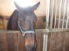 dscf3296_small.jpg