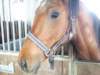 dscf3297_small.jpg