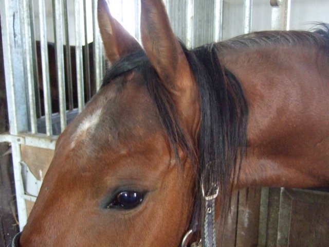 dscf3298.jpg