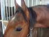 dscf3298_small.jpg