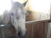 dscf3300_small.jpg