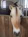 dscf3322_small.jpg