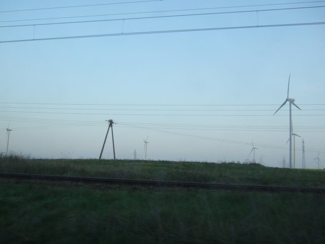 dscf3365.jpg