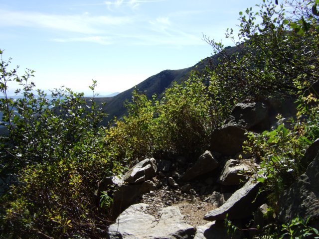 dscf3086.jpg