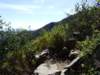dscf3086_small.jpg
