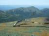 heartbreakingpollutionamongthebeautifulnature_small.jpg