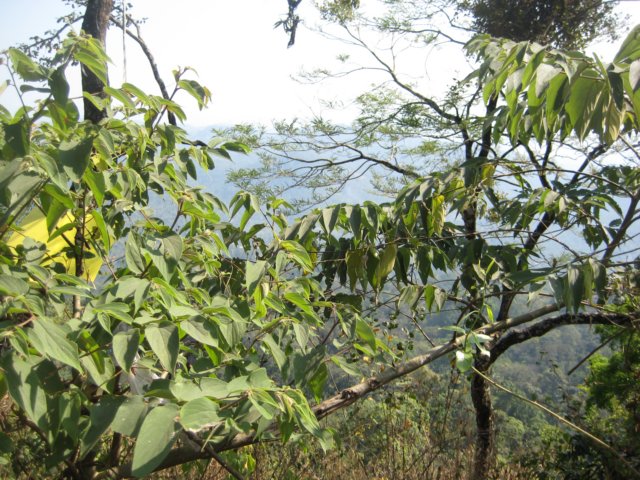 img_1590.jpg