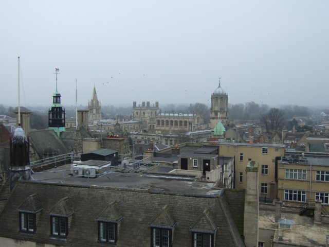 dscf1355.jpg