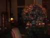 photo35_small.jpg