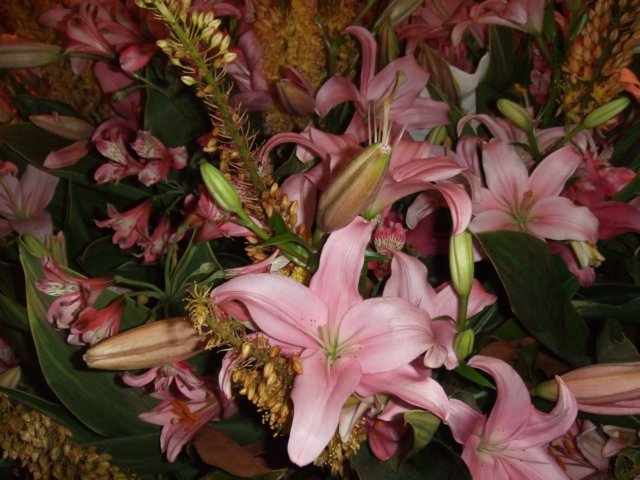 photo37.jpg